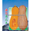 Sweet Taste China Hybrid Yellow Pumpkin Seeds For Sale